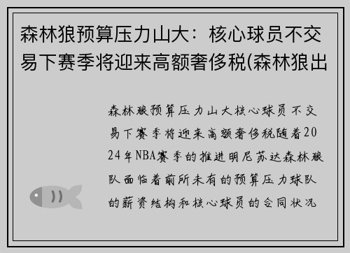 森林狼预算压力山大：核心球员不交易下赛季将迎来高额奢侈税(森林狼出售球队)